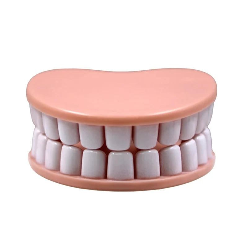 Denture Bag Clips