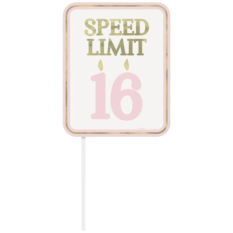 Blush Sweet 16 Birthday Photo Booth Backdrop and Props Kit, 19 Count