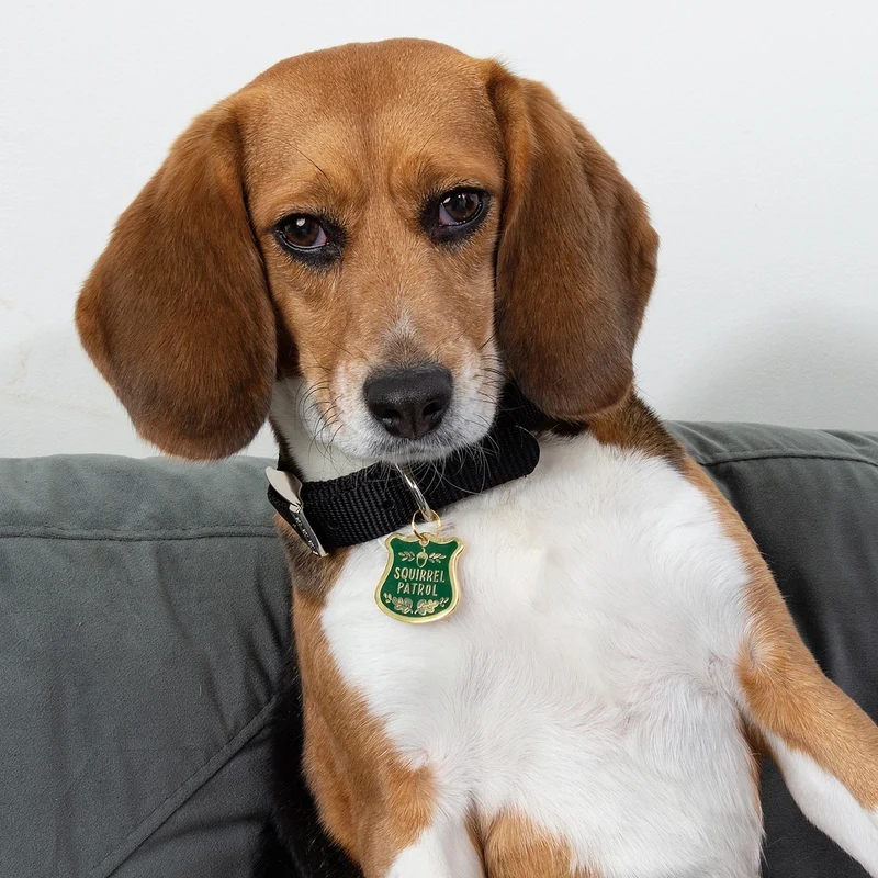 Funny Collar Charm Squirrel Patrol