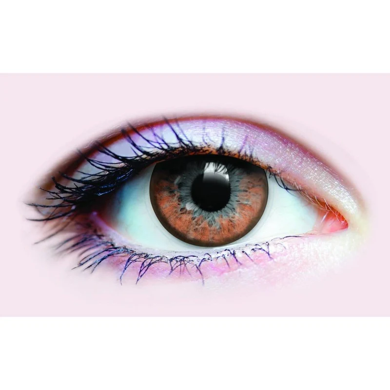 PRIMAL® Twilight Hazel - Brown Coloured Contact Lenses, 3 Months Usage