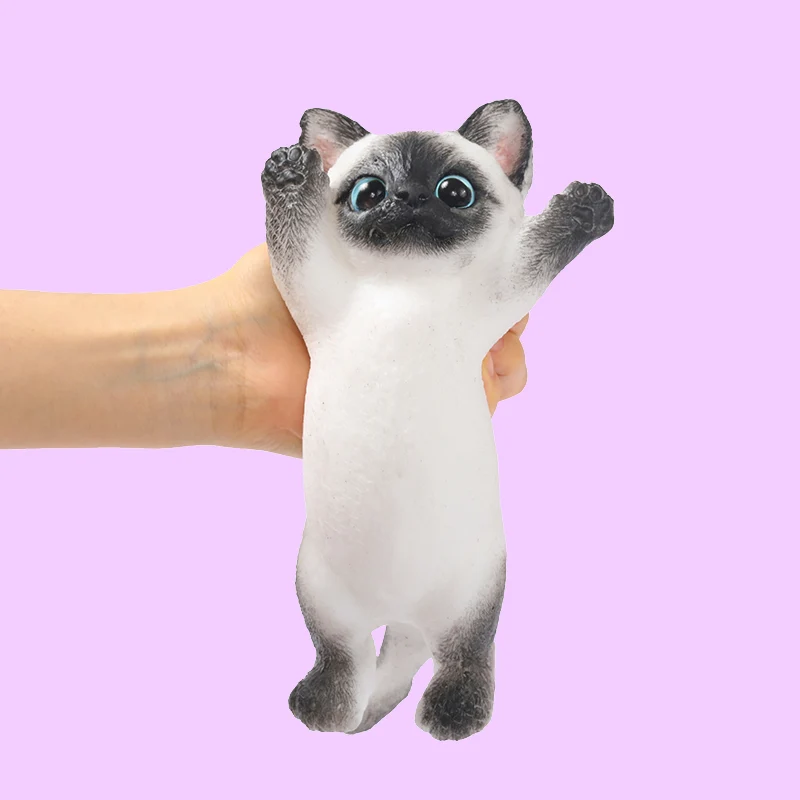 Maine Cheer Kitty Taba Squishy