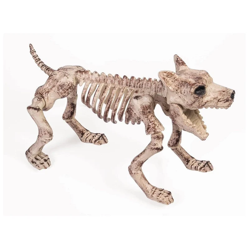 Small dog skeleton