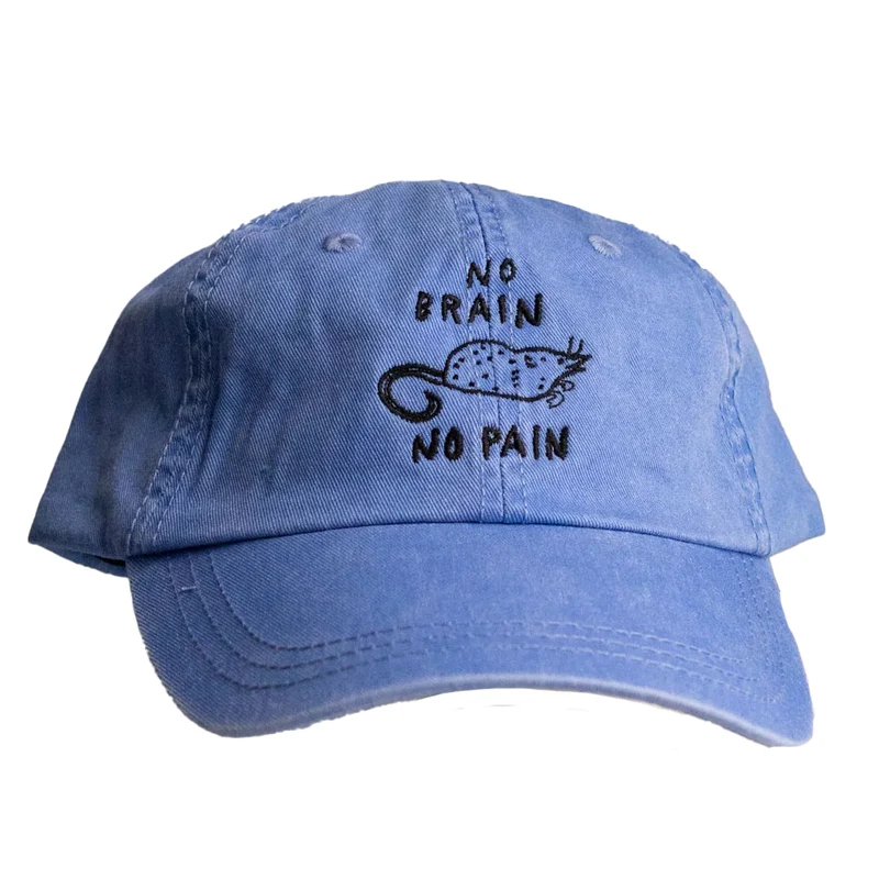 No Brain No Pain Dad Hat - Periwinkle
