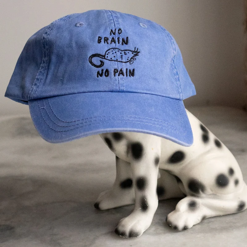 No Brain No Pain Dad Hat - Periwinkle
