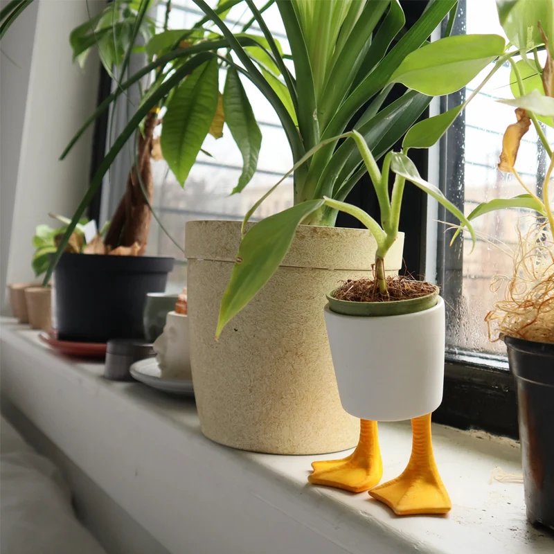 Duck Feet Planter