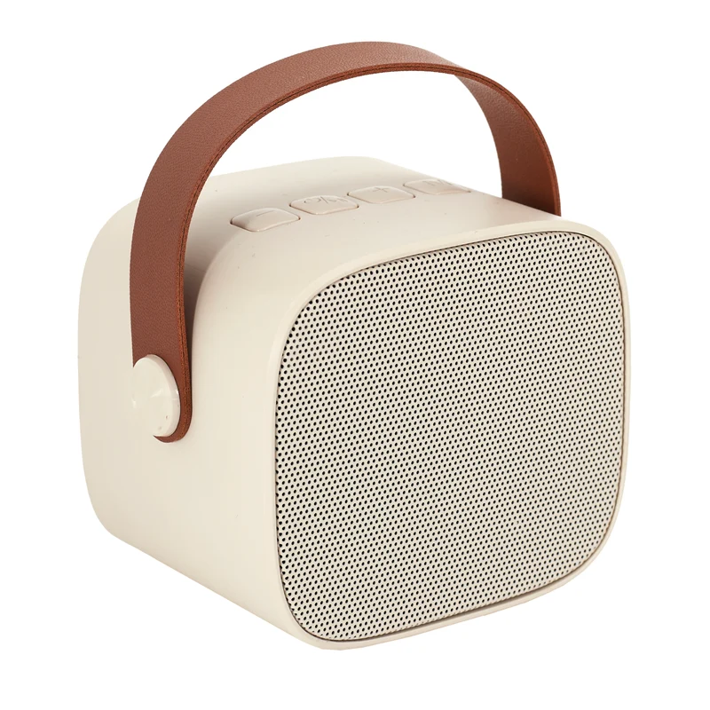 ENCEINTE ET MICRO KARAOKE DESIGN 5W