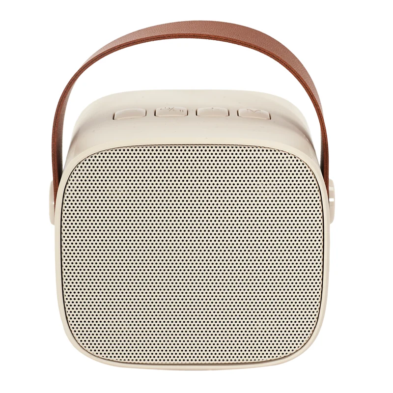ENCEINTE ET MICRO KARAOKE DESIGN 5W