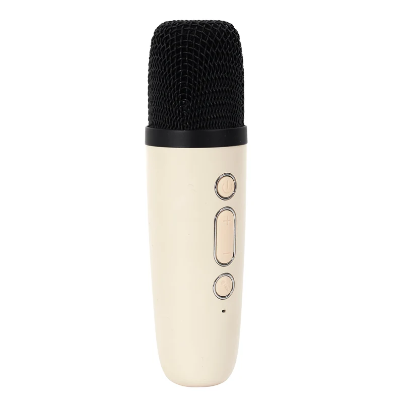 ENCEINTE ET MICRO KARAOKE DESIGN 5W