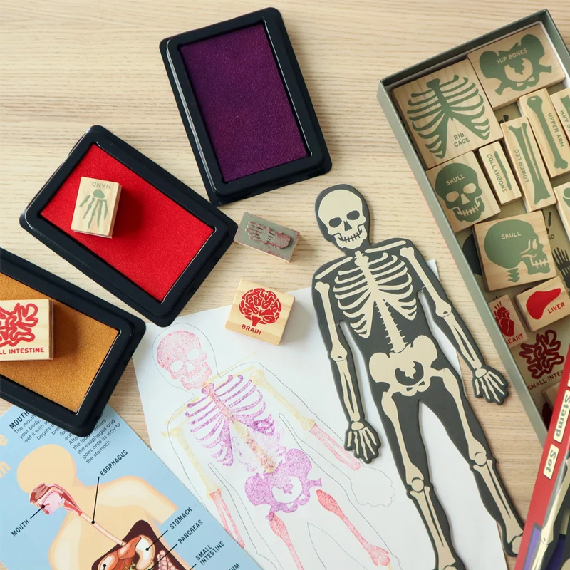 Anatomy Stamps