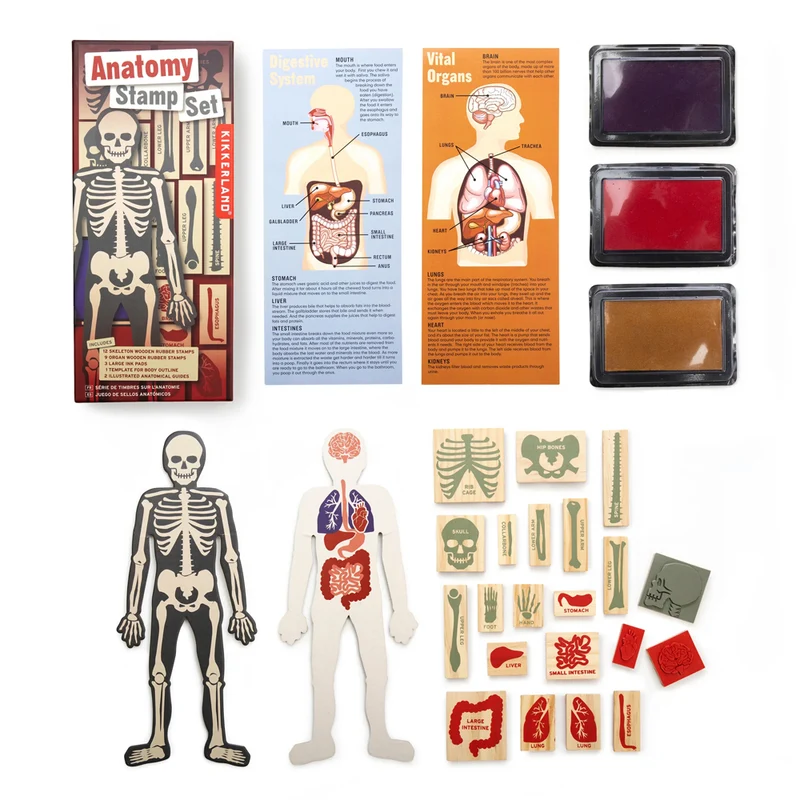 Anatomy Stamps