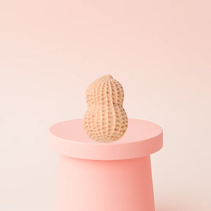 Peanut Squishy Stress Relief Toy