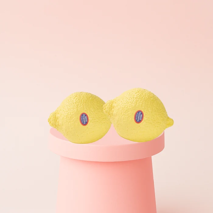 Lemon Squishy Stress Relief Toy