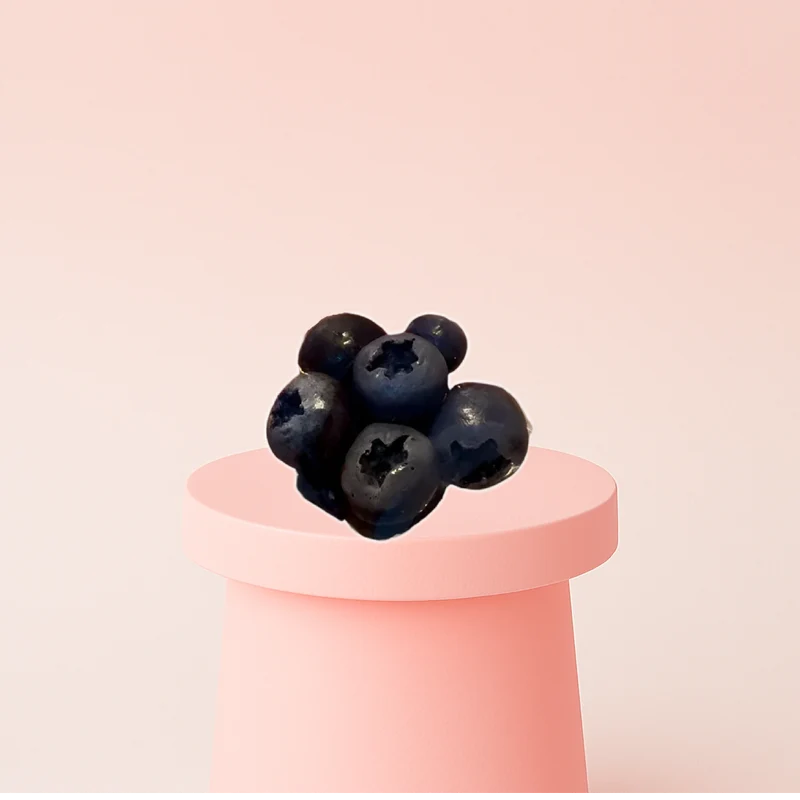 Blueberry Squishy Stress Relief Toy