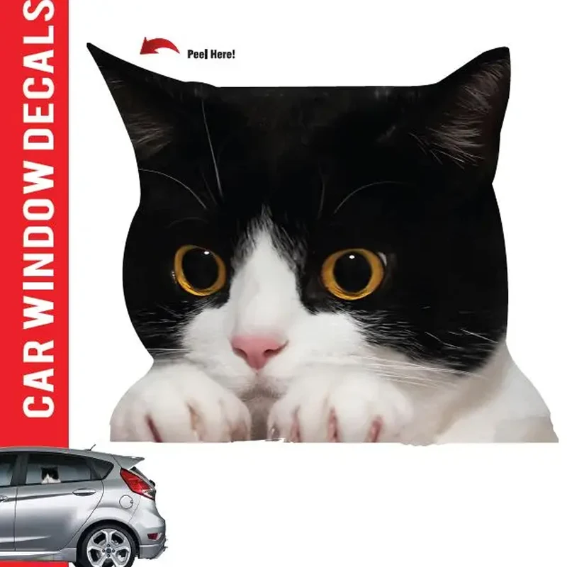Cat Car Window Decal