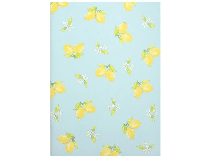 Carnet A5 citron papeterie japonaise