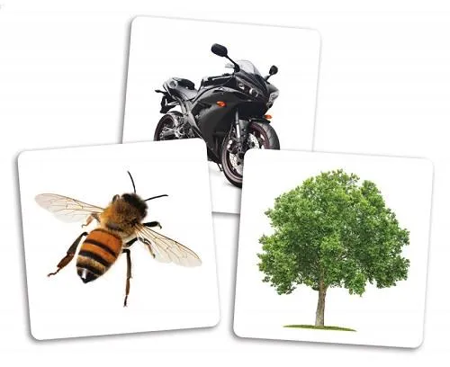 Placote Le dé des premiers mots cartes supplémentaires