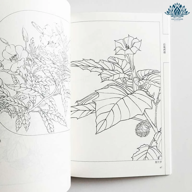 Coloriage anti stress zen