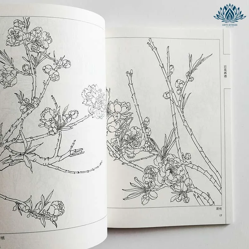 Coloriage anti stress zen