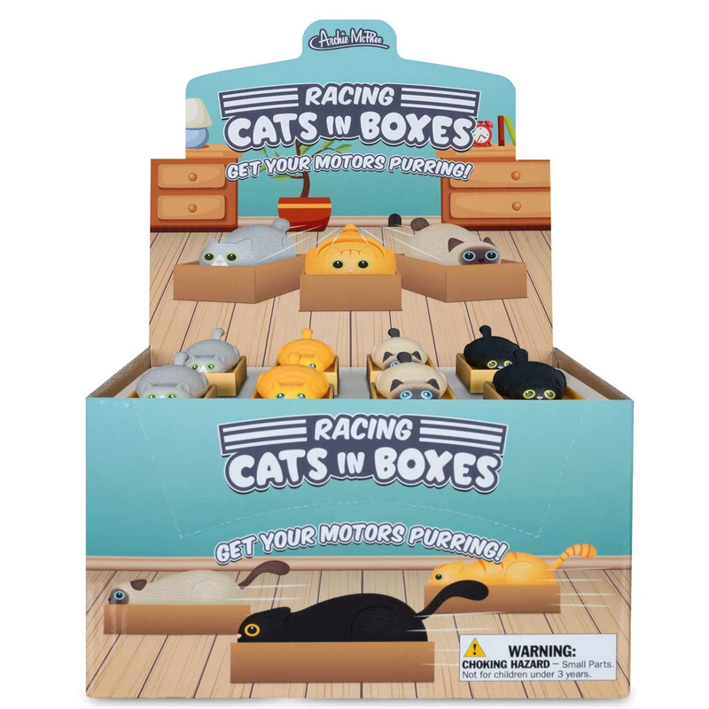 Racing Cat in Box - 1 random color