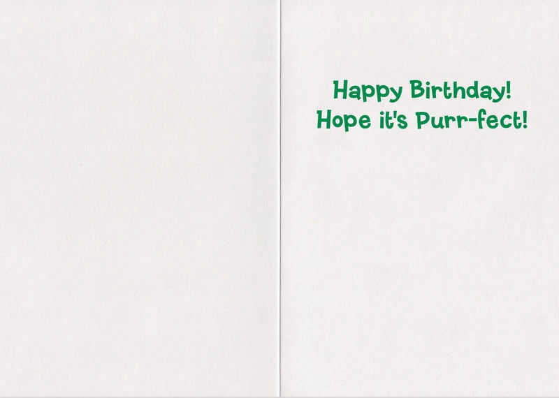 Peaceable Kingdom Realistic Cat Birthday Card 5 x 7 in