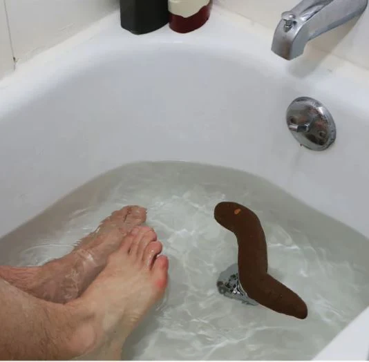 The Floater huge fake Poop