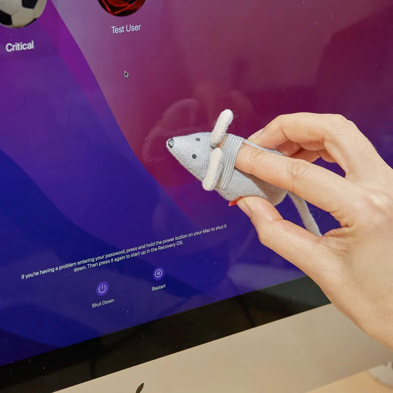 Squeaky Clean Mouse-