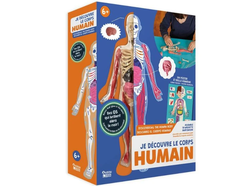 Je découvre le corps Humain - Auzou lab'