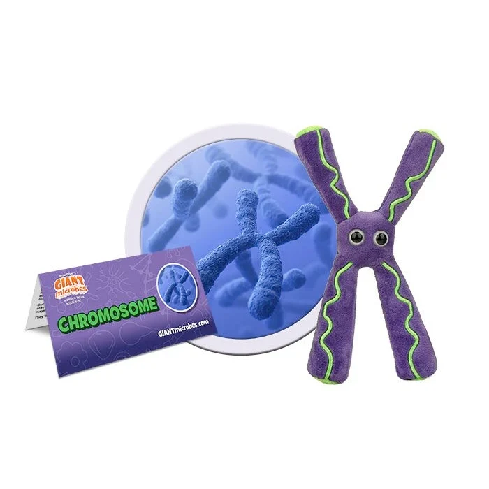 Giantmicrobes Chromosome Plush