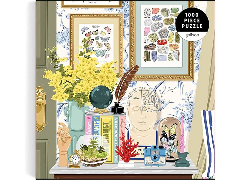 Puzzle Curiosities - 1000 pièces - Galison