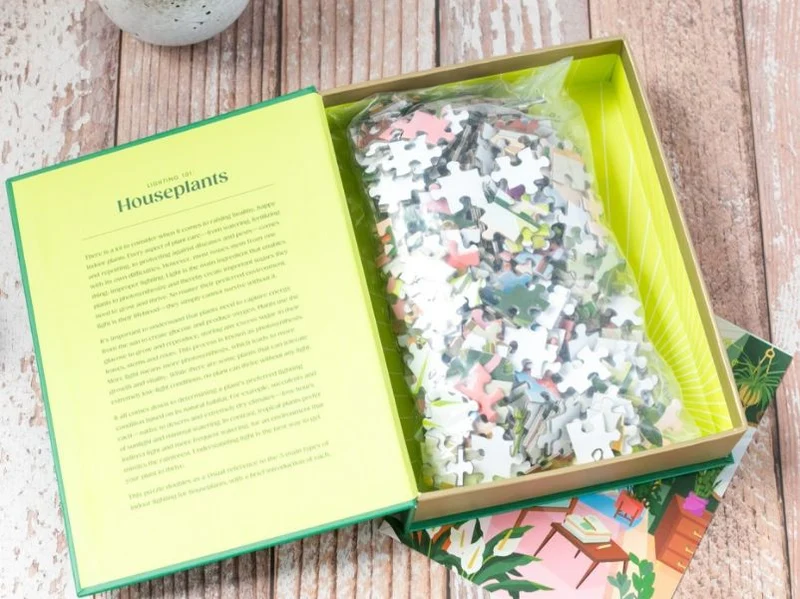 Puzzle Lighting 101 : Houseplants - 500 pièces - Galison