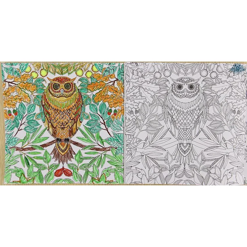 Coloriage jardin secret anti stress