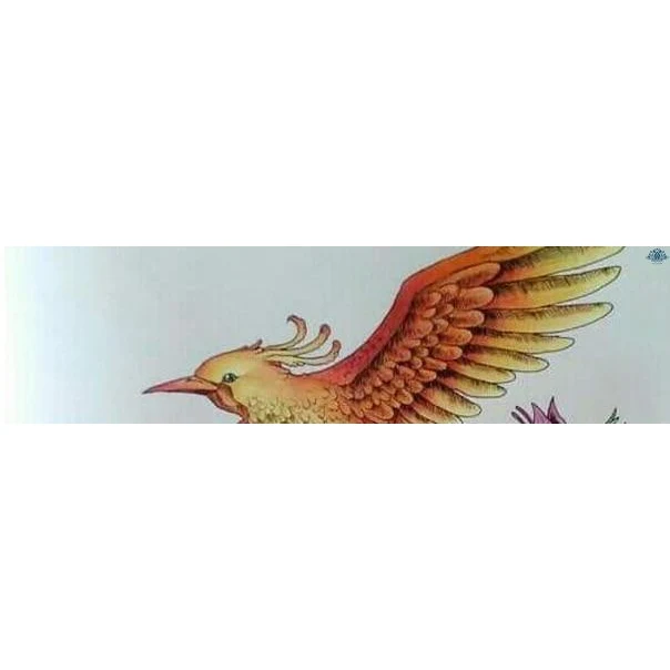 Coloriage animaux anti stress