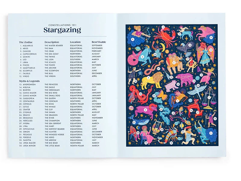 Puzzle Stargazing - 500 pièces - Galison