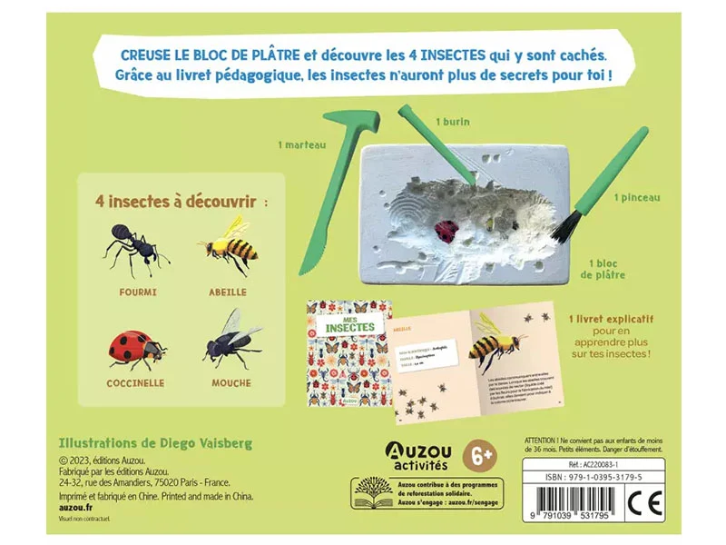 Mes insectes à déterrer - Auzou