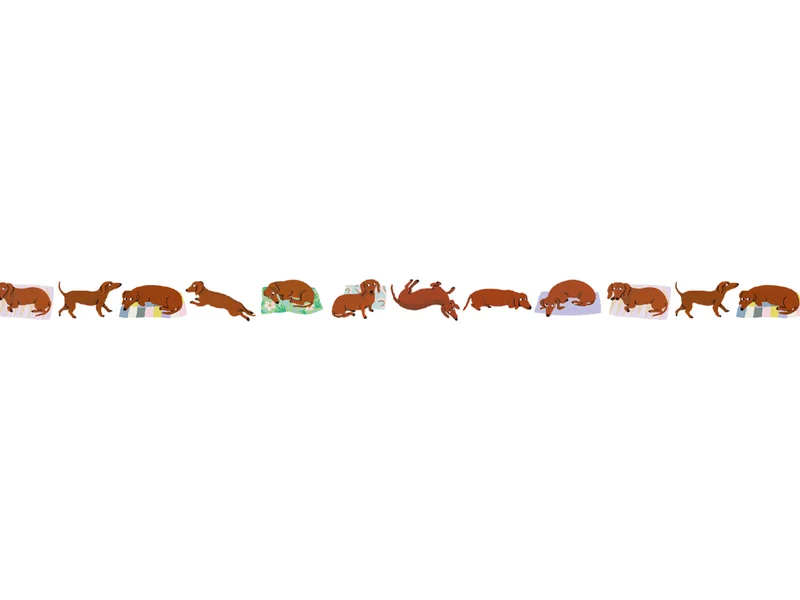 Masking Tape MT x Lea Maupetit teckel scrapbooking - 1,5 cm x 5 m