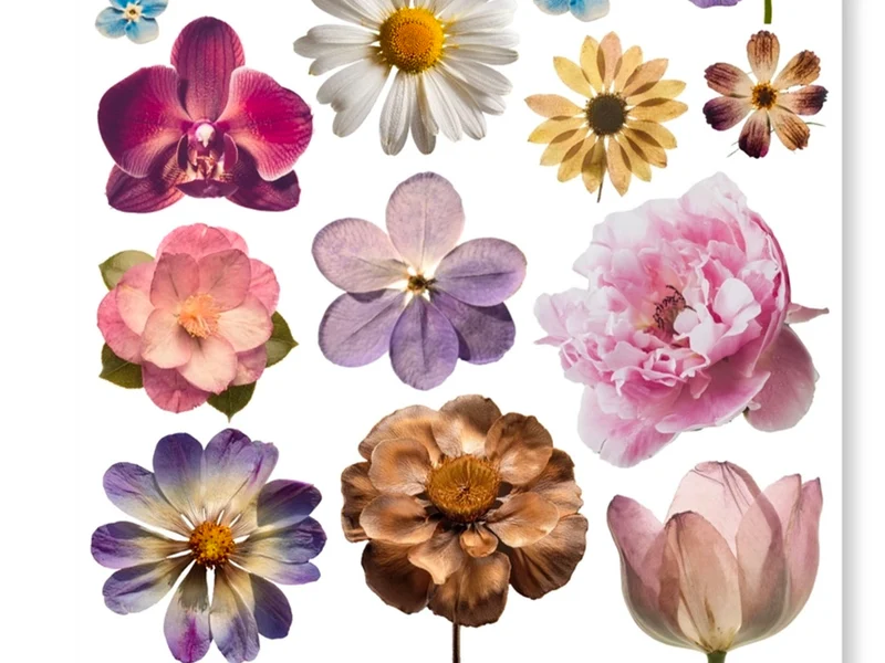 Planches d'autocollants - Fleurs - Only Happy Things