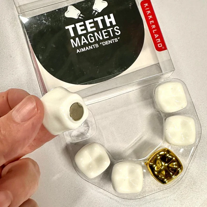 Teeth Magnets- set of 6