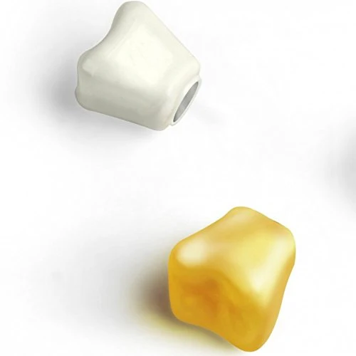 Teeth Magnets- set of 6
