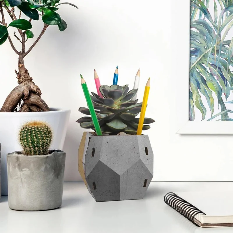 Pop Plant Pencil Holder - Echeveria