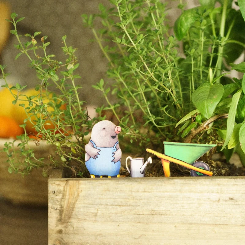 Gardening Mole Fancy Plants Diorama Kit
