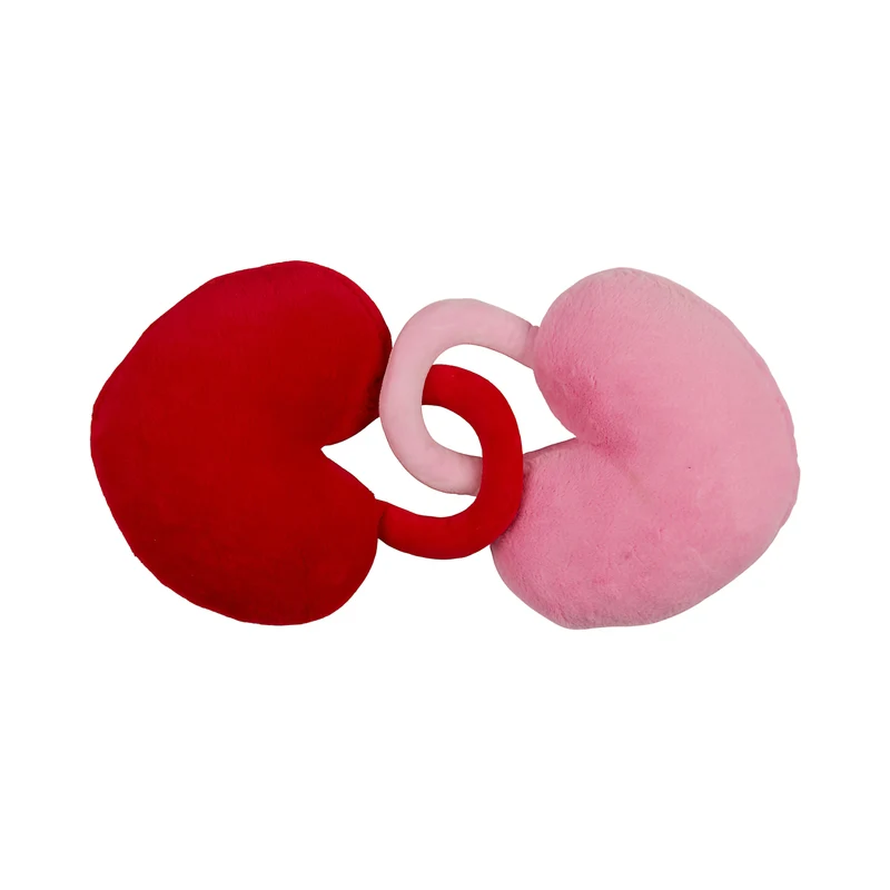 PELUCHE COEUR TOI ET MOI