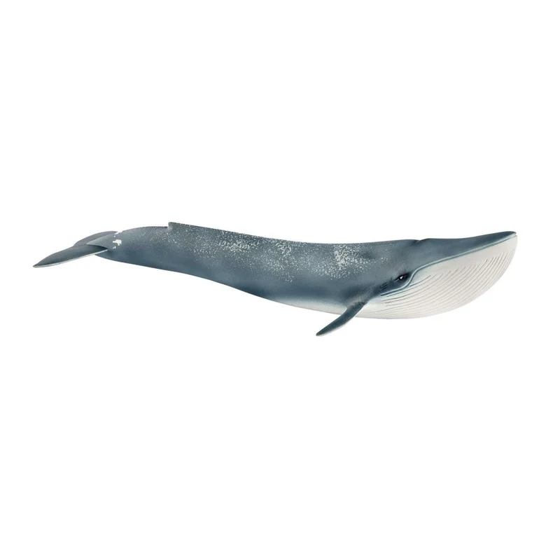 Schleich Wild Life Blue Whale Realistic Ocean Animal Figurine