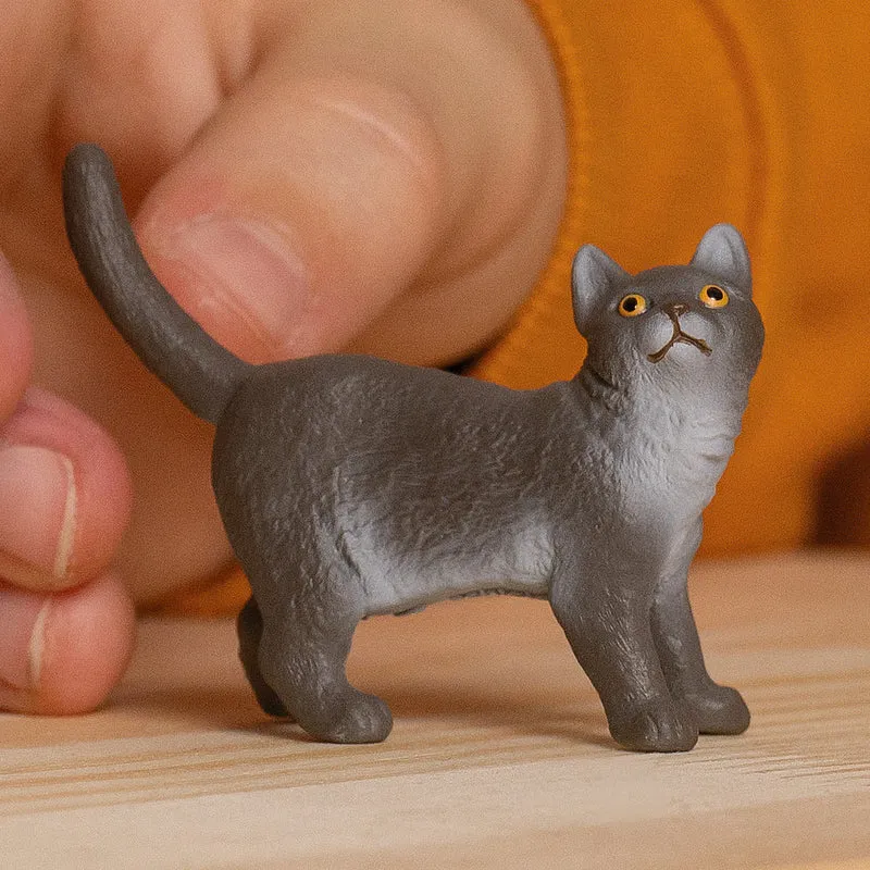 Schleich British Shorthair Cat Animal Figurine Realistic Toy