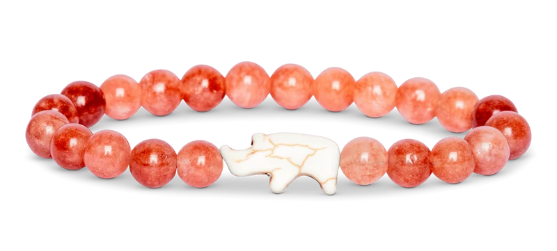 Fahlo Charge Bracelet Track Real Rhinos Support Rhino Conservation Jewelry