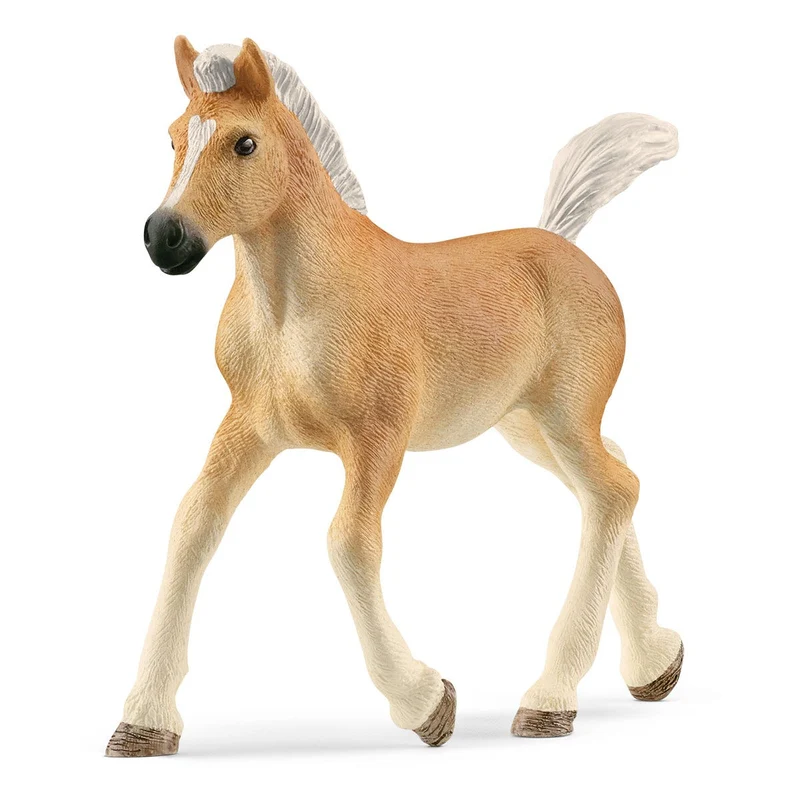 Schleich Haflinger Foal Horse Club Animal Figurine 13951