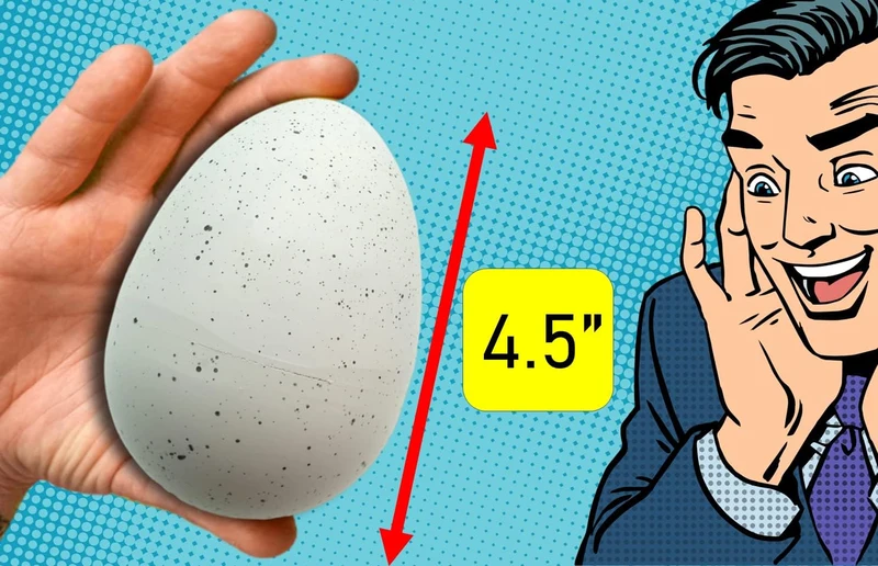 JA-RU Giant Hatching Dinosaur Egg Growing Toy for Kids