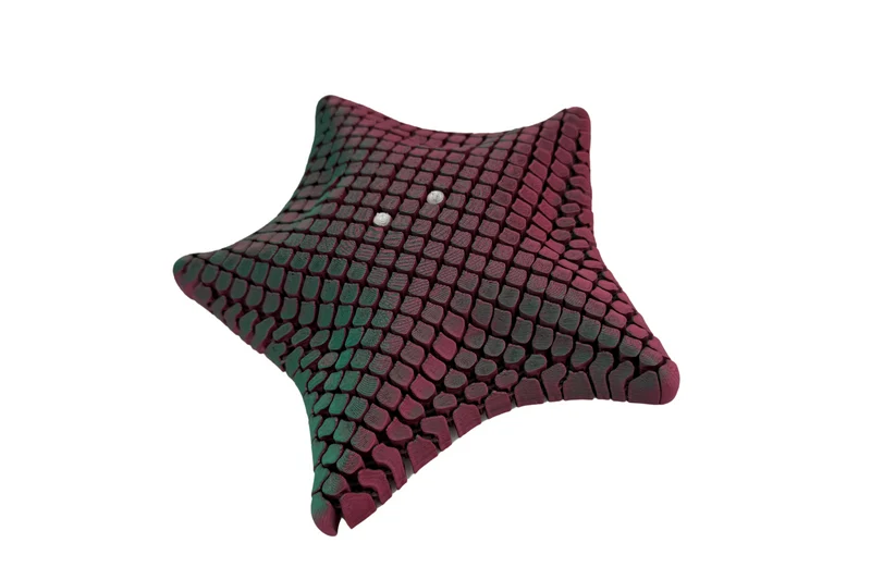 Flexible Articulated Starfish Fidget Toy for Creative Sensory Play