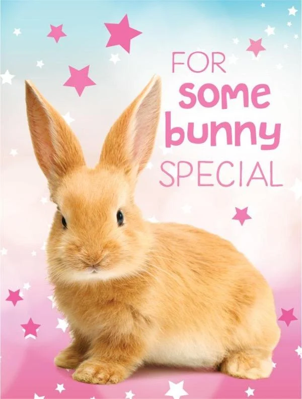 Bunny Mini Gift Enclosure Card with Glitter Accents