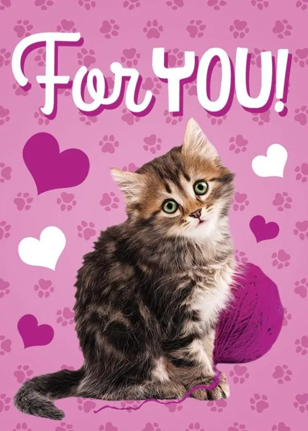 Cute Kitten Mini Gift Enclosure Card with White Envelope