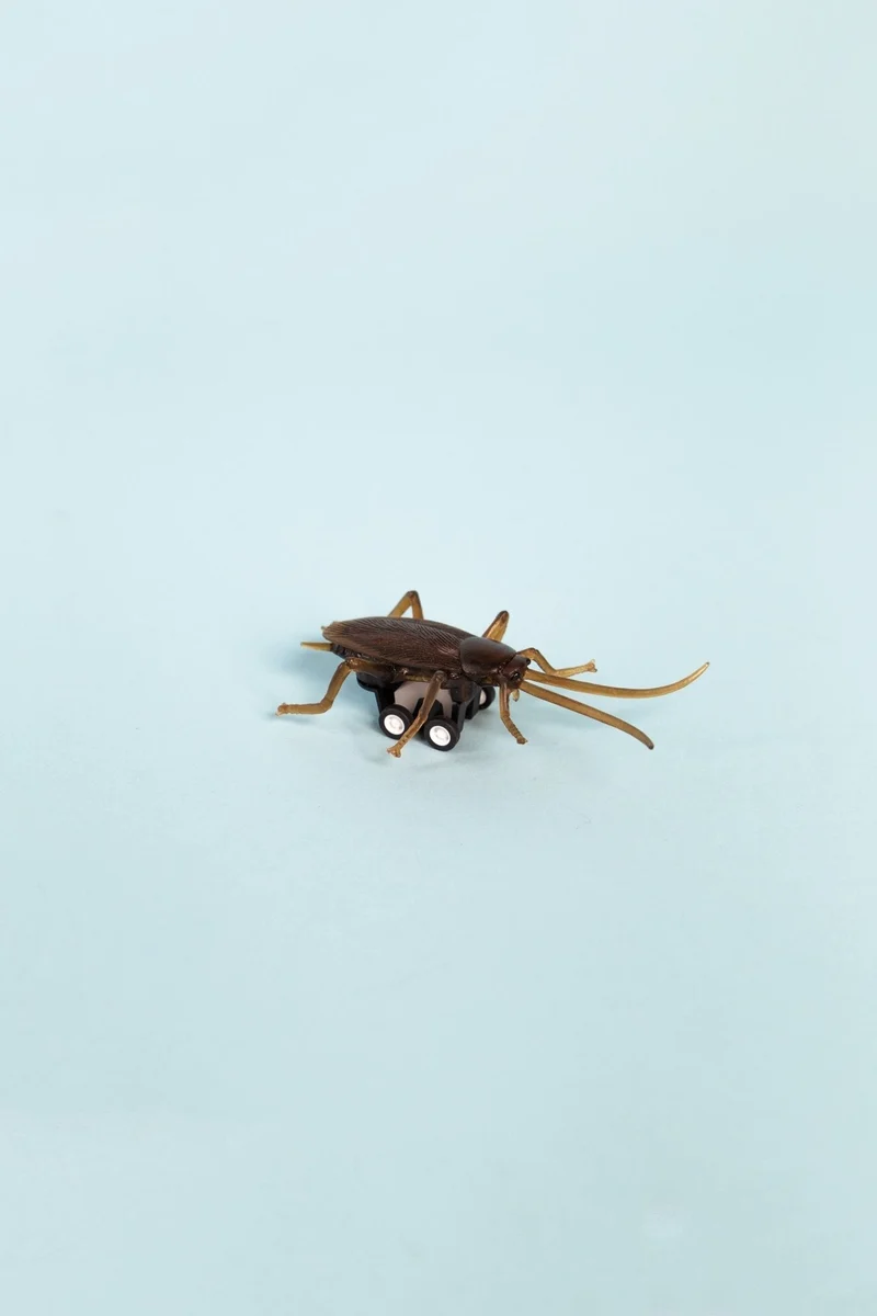 Realistic Wind-Up Racing Cockroach Toy for Pranks and Gag Fun